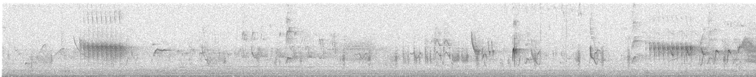 ハリオカマドドリ - ML640754475