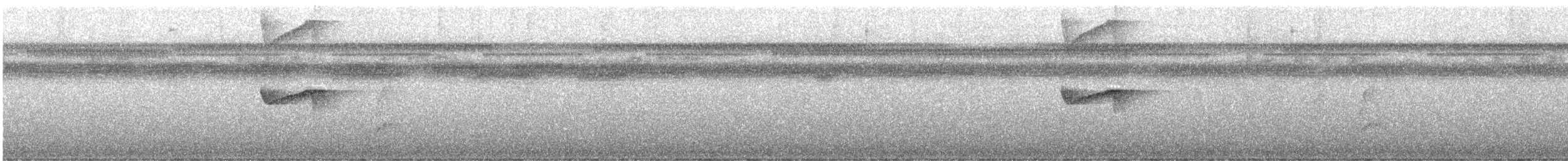 Ochre-lored Flatbill - ML640754576