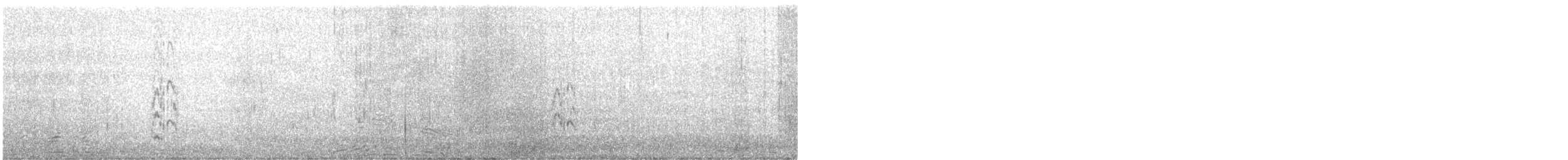 Sandwich Tern - ML640754774