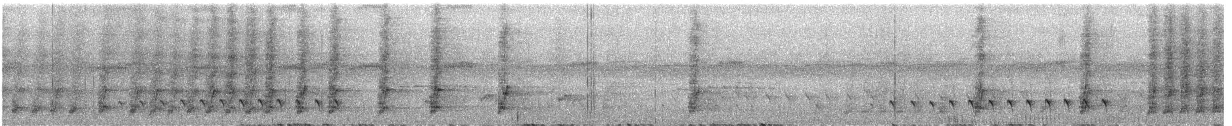 ズキンヒメアリサザイ - ML640754949