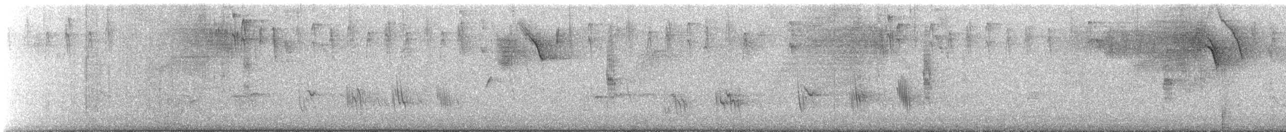 Caribbean Martin - ML640755069