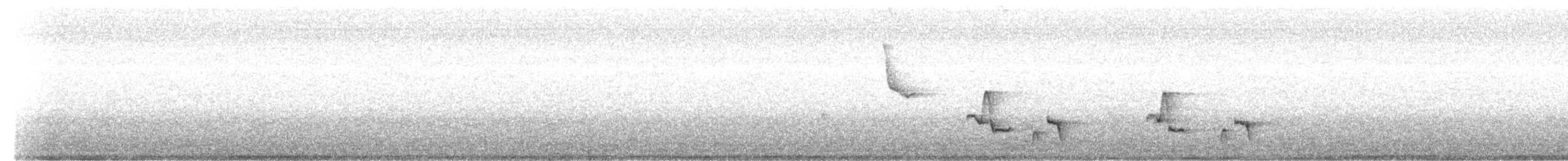 Troglodyte à calotte noire - ML640755266