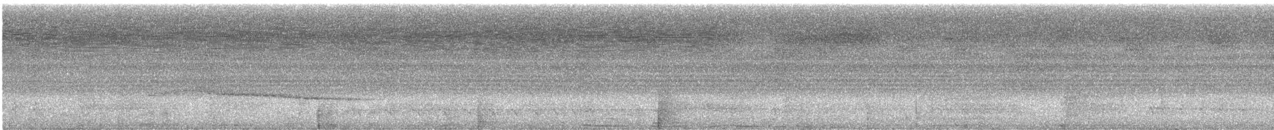 Long-billed Gnatwren - ML640755852