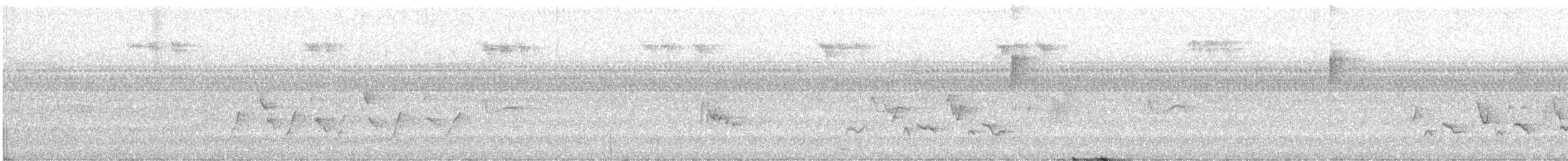 Yellow-bellied Flycatcher - ML640757787