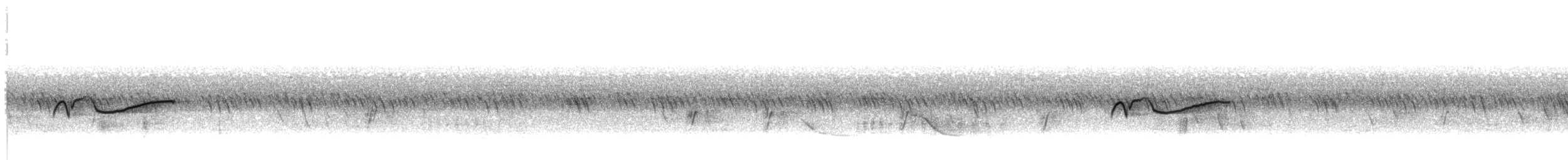 Eastern Wood-Pewee - ML640759927