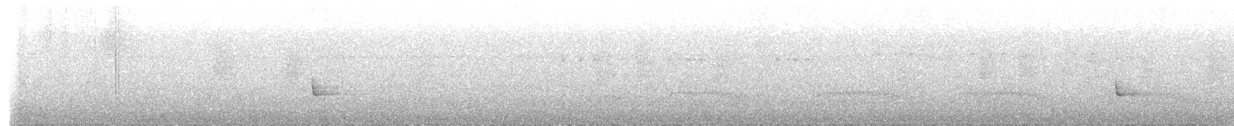 Elfenhonigfresser - ML640759982