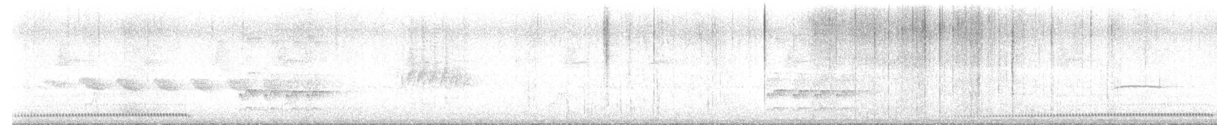 White-breasted Tapaculo - ML640760124