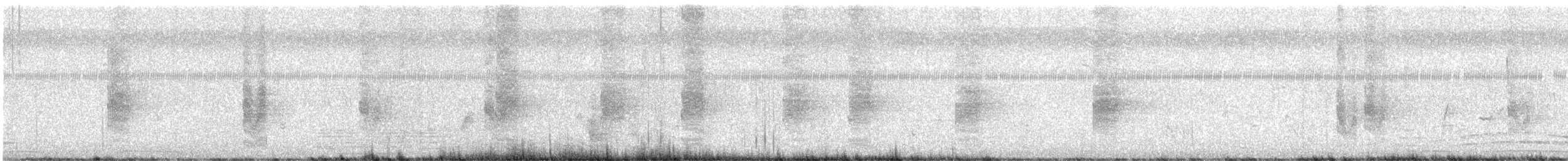 Long-tailed Shrike - ML640764046