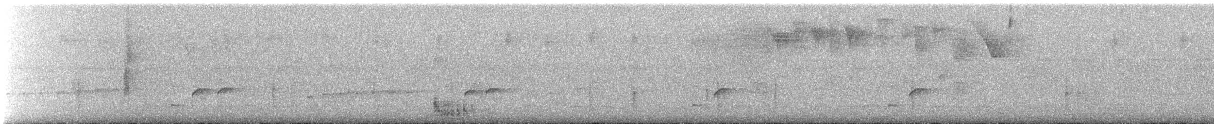 Puerto Rican Lizard-Cuckoo - ML640766178