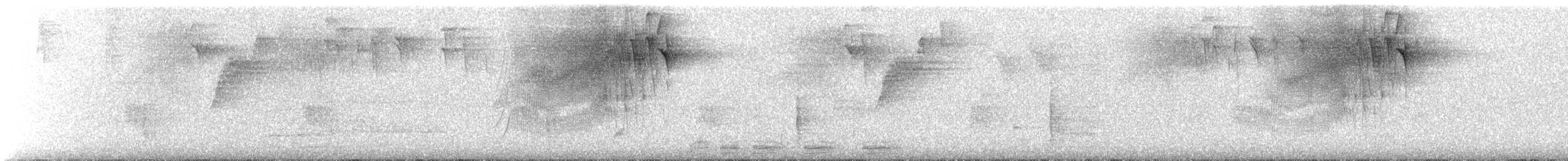 Puerto Rican Lizard-Cuckoo - ML640766179