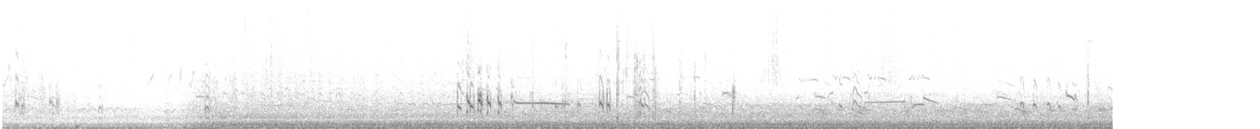 キョウジョシギ - ML640766479