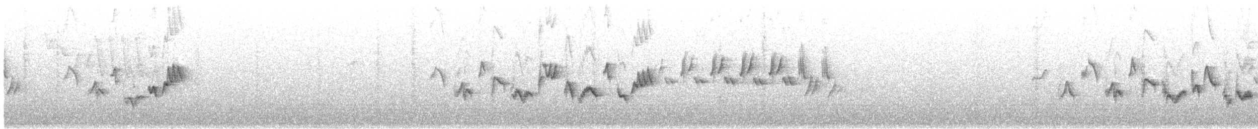 Western Warbling Vireo - ML640772046