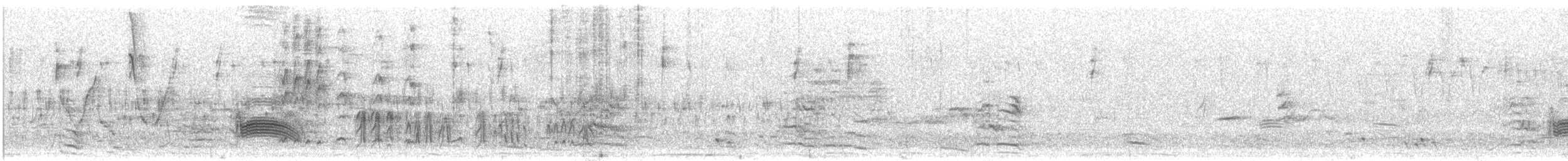 Tyranneau suiriri - ML640774258