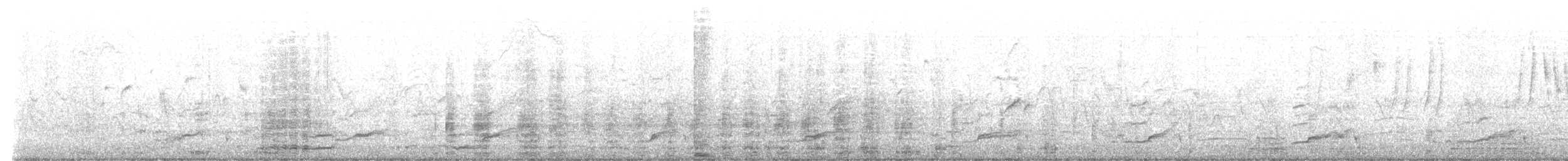 Great Cormorant (White-breasted) - ML640775983