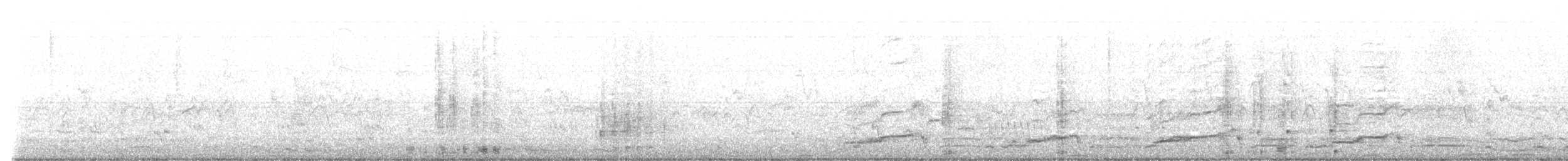 Great Cormorant (White-breasted) - ML640775984
