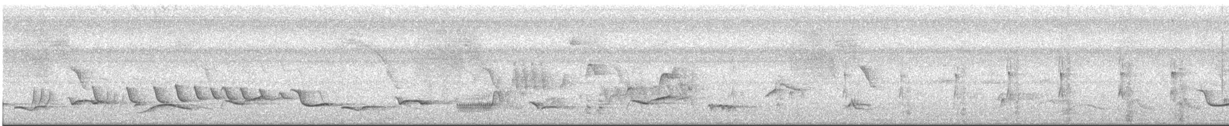 White-winged Becard - ML640776907