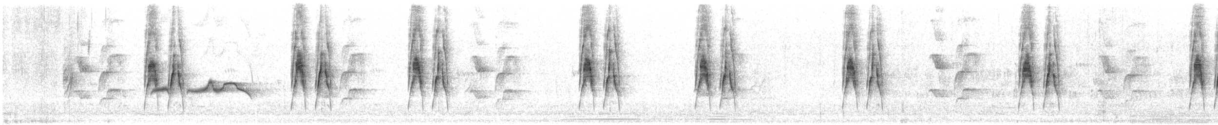 Synallaxe albane - ML640779817