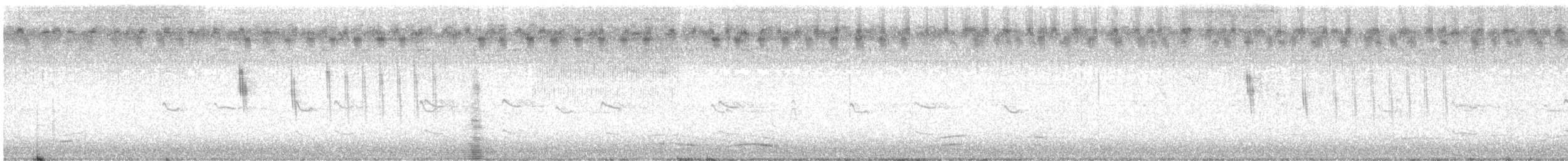 Sedge Wren - ML640780413