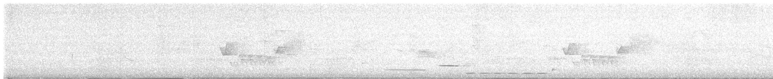 Rufous-and-white Wren - ML640781735