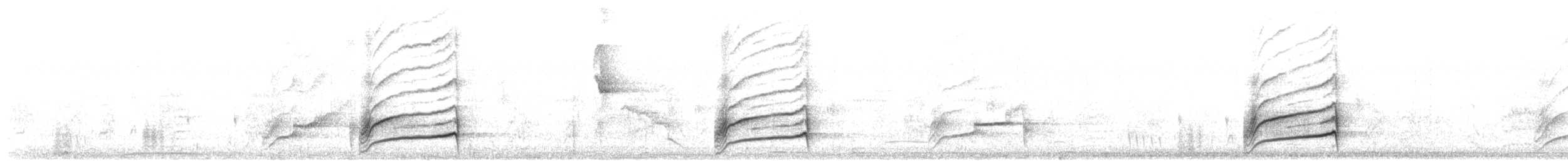 glattnebbani - ML640785962