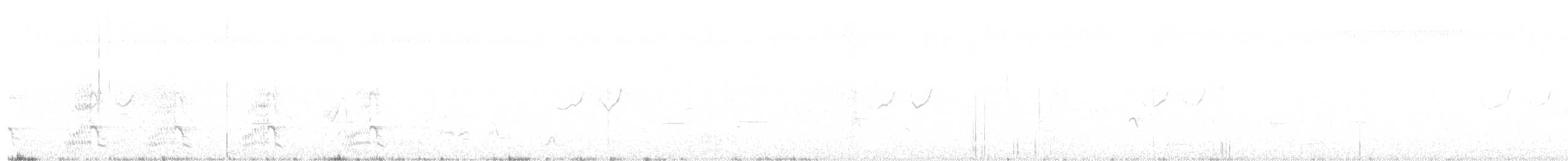 blåpanneamazon - ML640788453