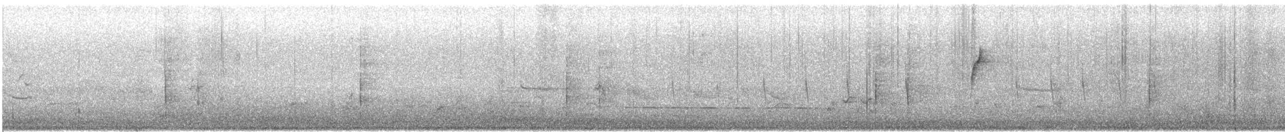 Dominohabicht - ML640788937