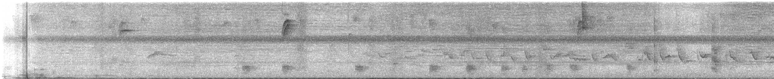 White-mantled Barbet - ML640789125