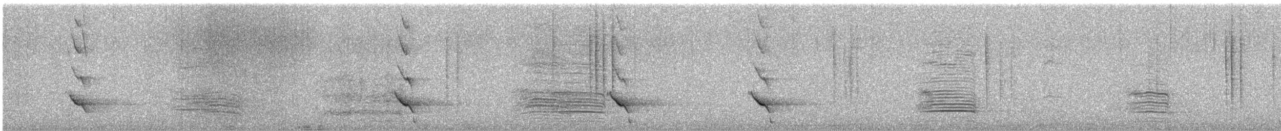 plysjskrike - ML640789606