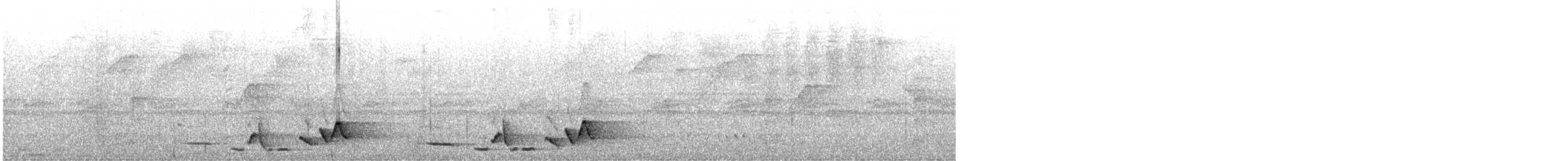 Whiskered Wren - ML640792258