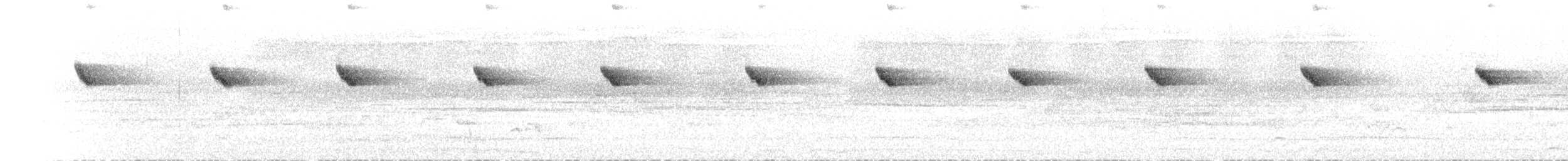 Sulawesi Fantail - ML640792449