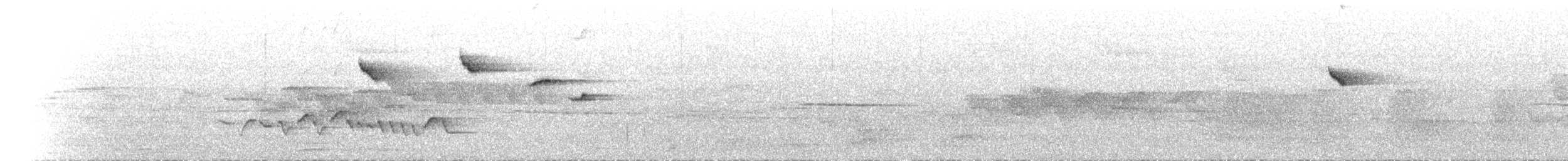Sulawesi Fantail - ML640792452