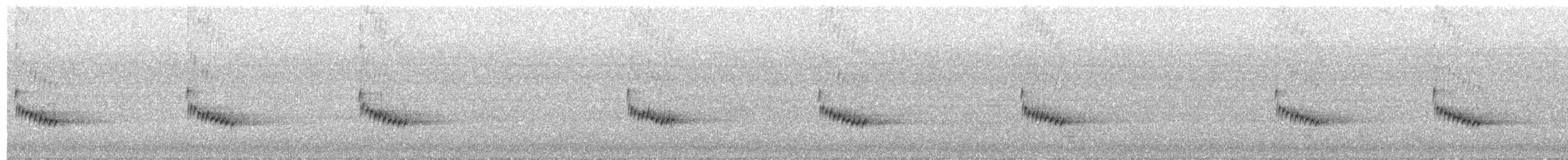 Поплітник каролінський - ML64079381