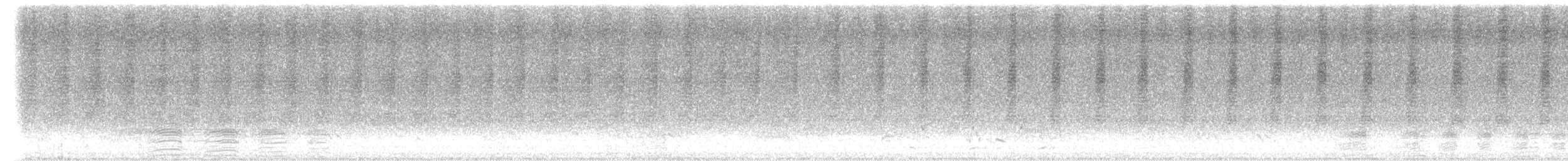 Зэрлэгшир нугас - ML640795211