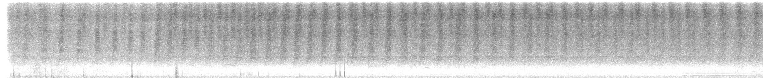 Зэрлэгшир нугас - ML640795212