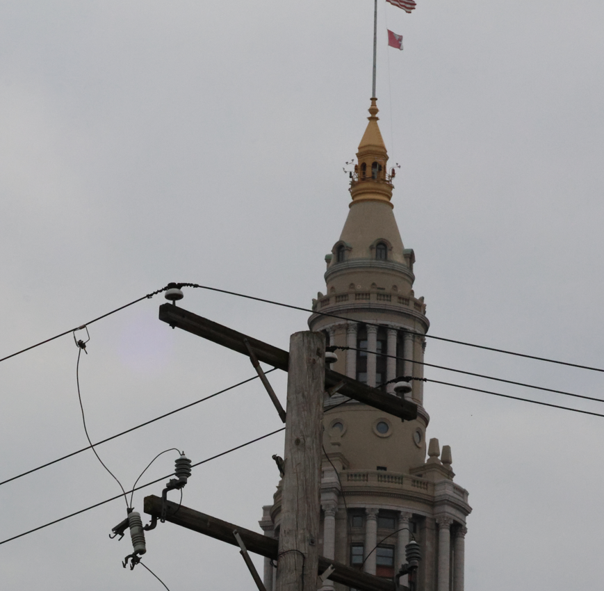 Yellow-bellied Sapsucker - ML640795360
