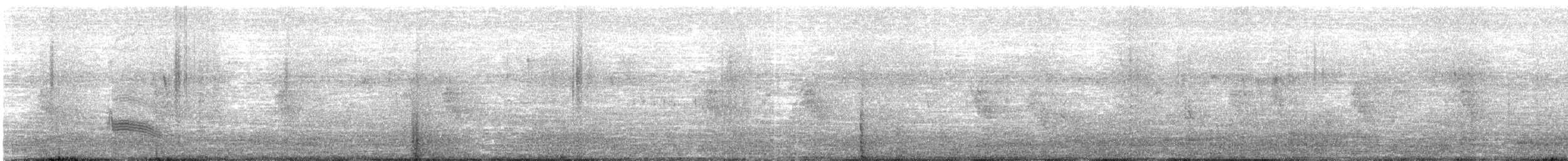 Tyranneau suiriri - ML640797186