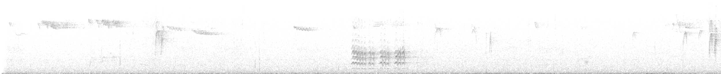 White-breasted Nuthatch (Interior West) - ML640797311