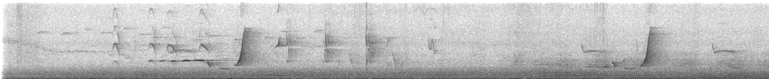Siffleur doré (groupe pectoralis) - ML640800436