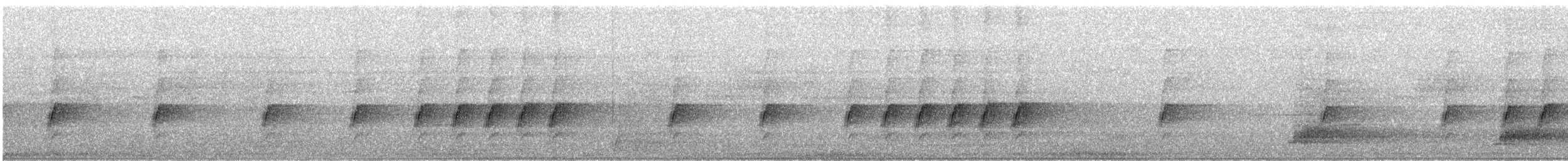 Australian Logrunner - ML640804926