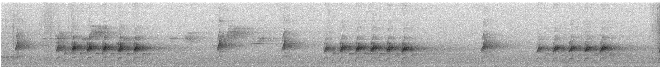 Australian Logrunner - ML640804964