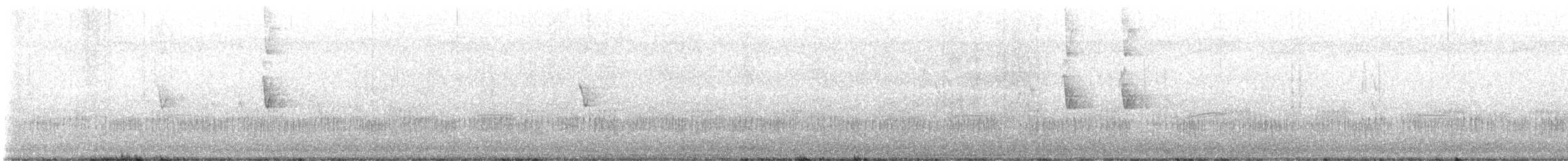 White-plumed Honeyeater - ML640805688