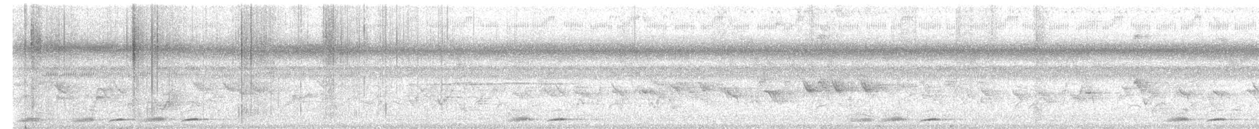 Indian Scimitar-Babbler - ML640806913