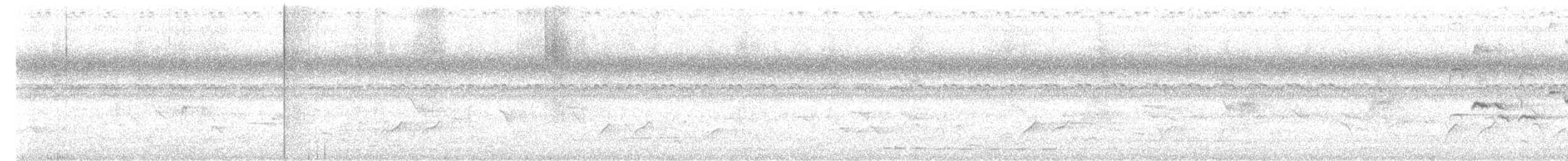 Indian Scimitar-Babbler - ML640807199