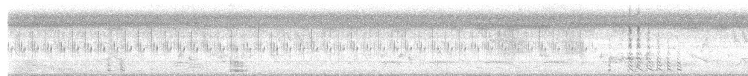 House Crow - ML640807572