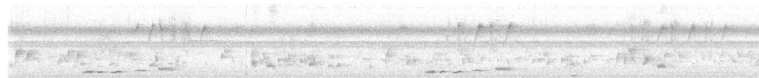 Indian Scimitar-Babbler - ML640807707