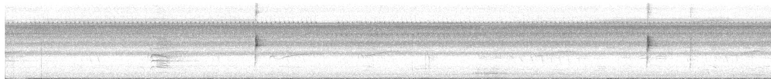 Northern Waterthrush - ML640809506