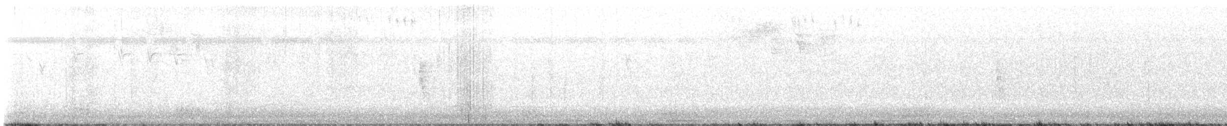 glattnebbani - ML640809558