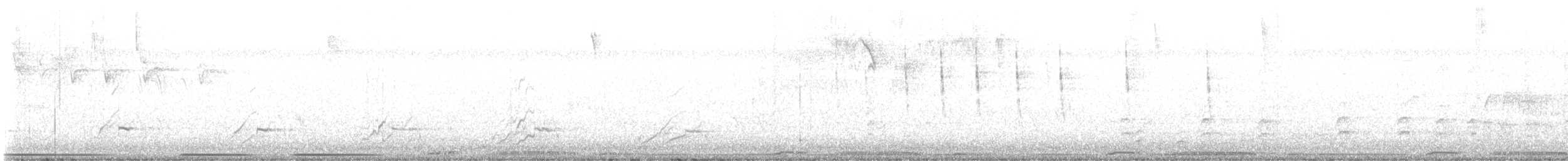 svarthettebisp - ML640809599