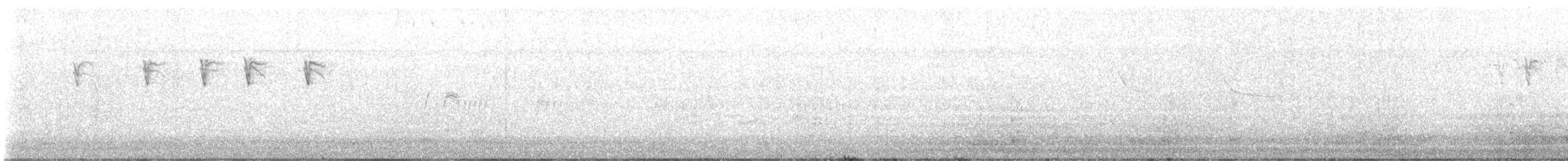 svarthettebisp - ML640809600