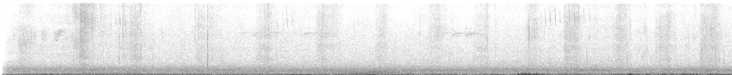 svarthettebisp - ML640809601